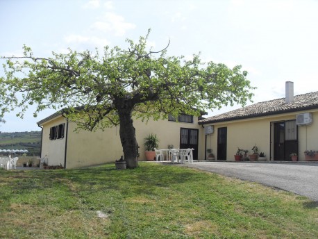 Il Terrazzo sul Sinni: Laboratorio marmellata presso