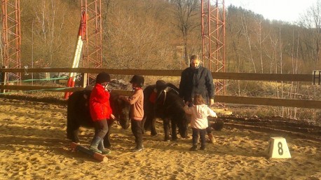 Equitazione o laboratorio in fattoria presso Agriturismo San Michele