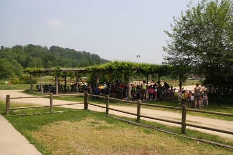 Equitazione o laboratorio in fattoria presso Agriturismo San Michele