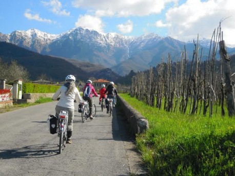 Escursione in e-bike con Farfalle in cammino