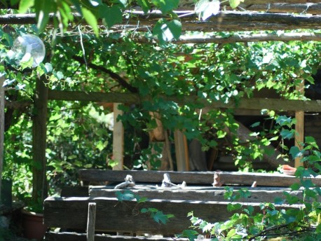 La Taverna Antichi Sapori: Tradizione e passione per la natura