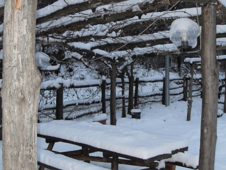 La Taverna Antichi Sapori: Tradizione e passione per la natura