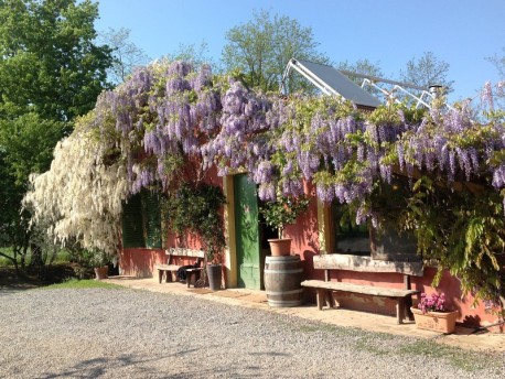 Cascina degli Ulivi: Cucina territoriale e piatti stagionali