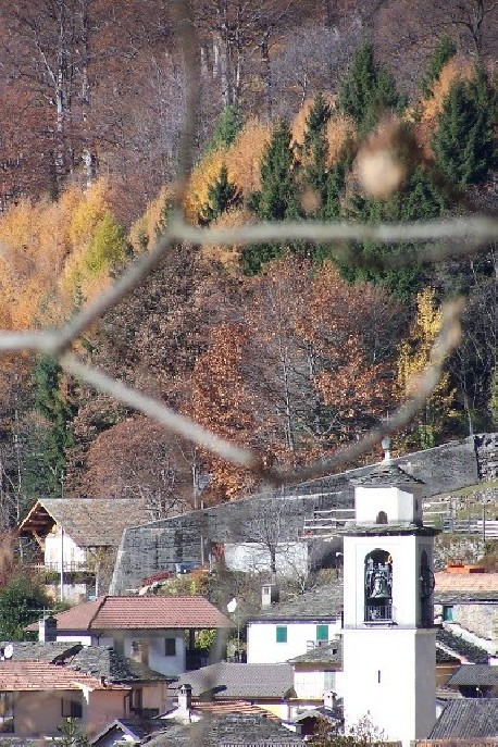Il Tiglio