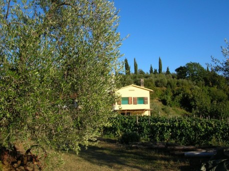 Podere Mazzana