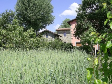Il Corniolo