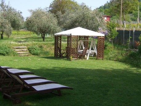 Tenuta Carbognano: Vino e sapori in armonia con la natura