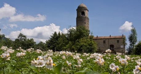 Montagna Verde