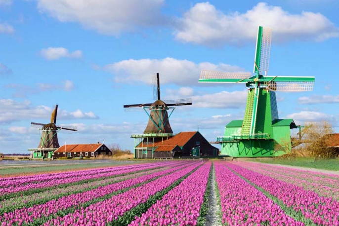 Amsterdam - Edam e i mulini