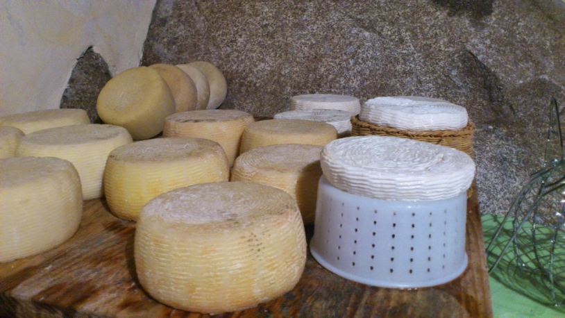 Fattoria dei Ricordi