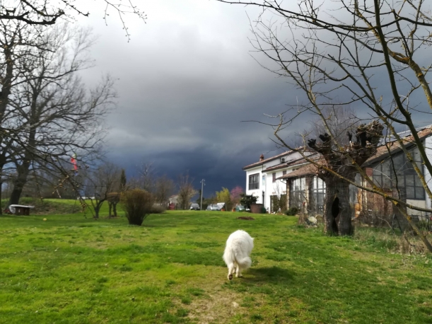 Cascina Trapella