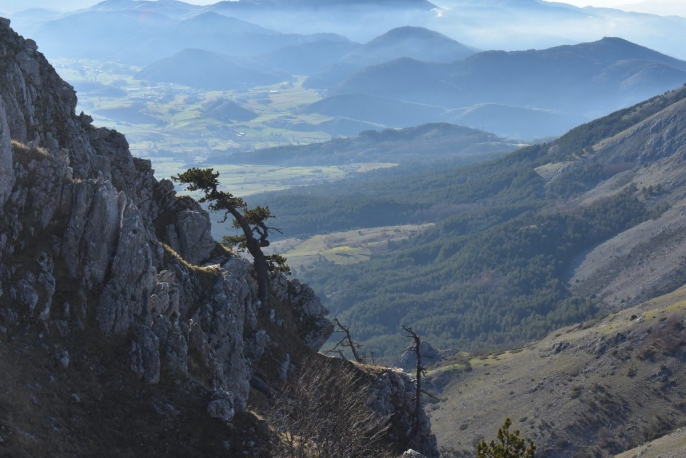 Escursione guidata nel Parco Nazionale del Pollino
