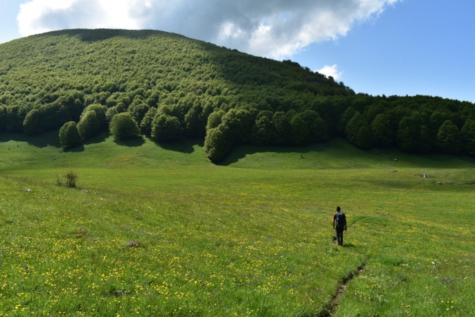 Escursione guidata nel Parco Nazionale del Pollino
