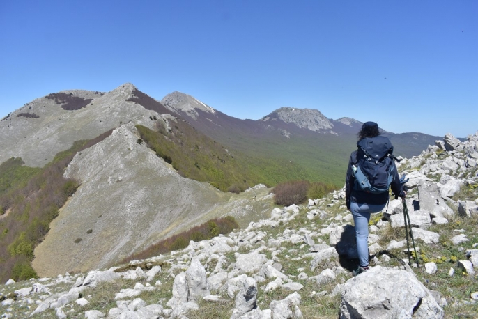 Escursione guidata nel Parco Nazionale del Pollino