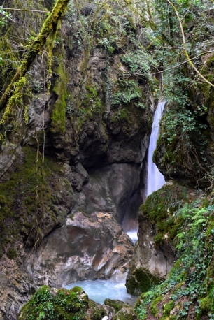 Escursione guidata nel Parco Nazionale del Pollino