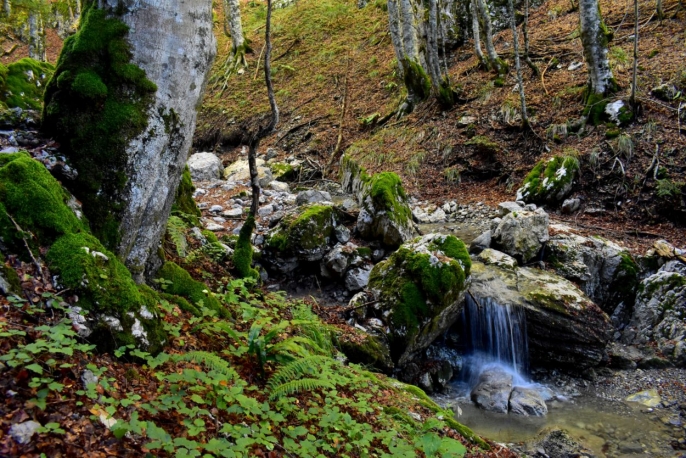 Escursione guidata nel Parco Nazionale del Pollino