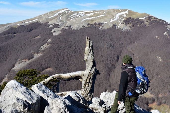 Escursione guidata nel Parco Nazionale del Pollino
