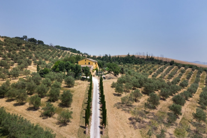 Villa Scuderi Country House B&B