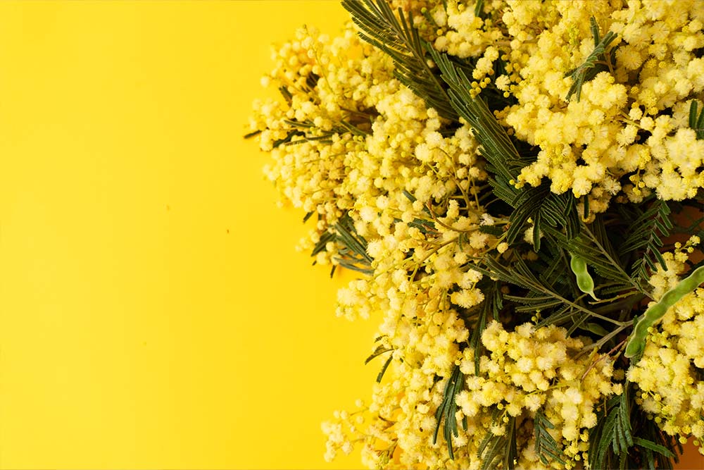 Quando nasce la festa della donna
