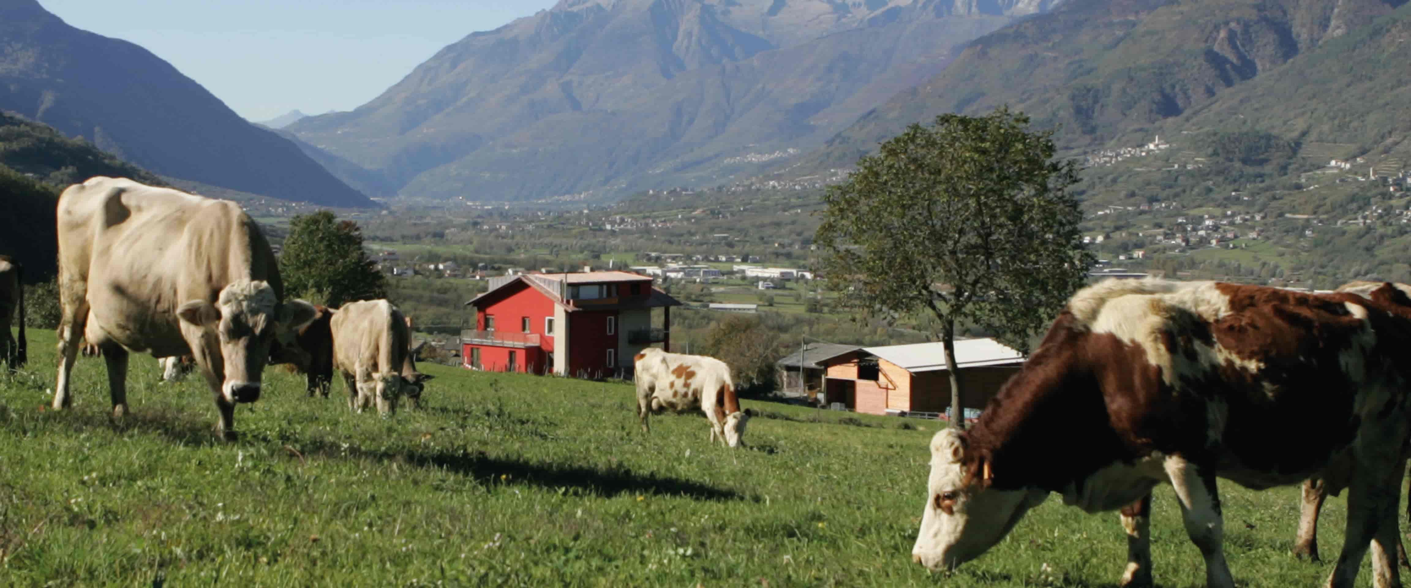 Scappatelle di Natura