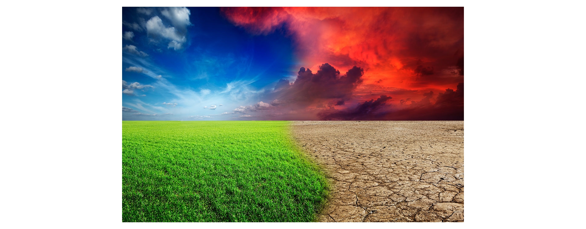 Cambiamento climatico, come fare la differenza?