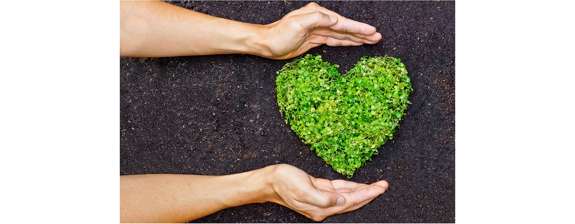 Eco-friendly è uno stile di vita alla portata di tutti