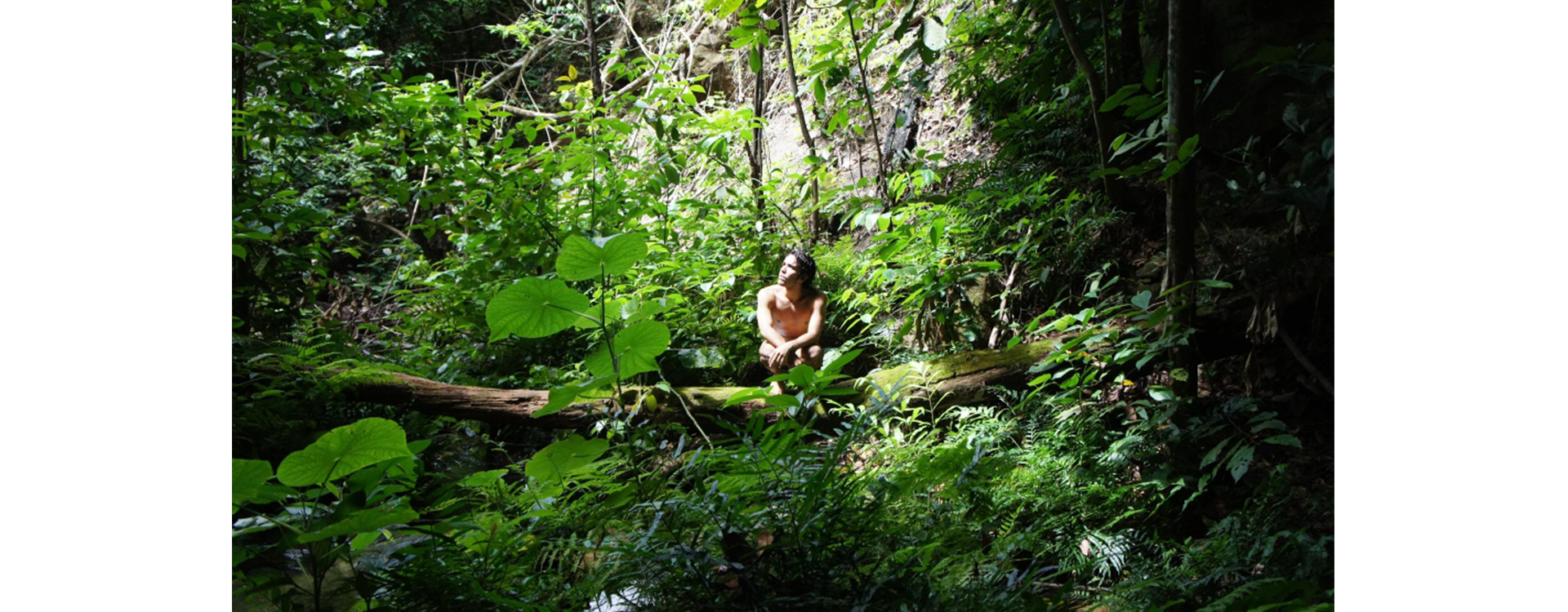 Benessere nella foresta: i benefici del forest bathing per corpo e mente