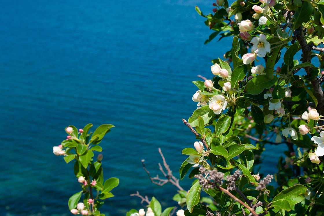 La Riviera dei Gelsomini: la Calabria che non ti aspetti