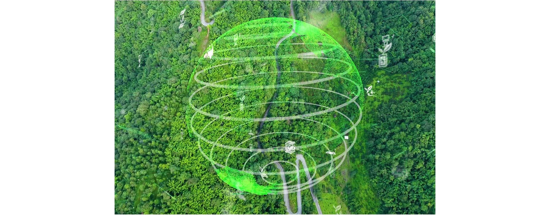 Salvare gli alberi con le nuove tecnologie