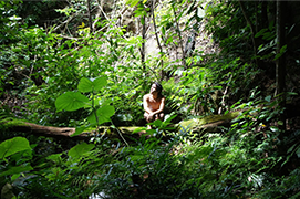 Benessere nella foresta: i benefici del forest bathing per corpo e mente
