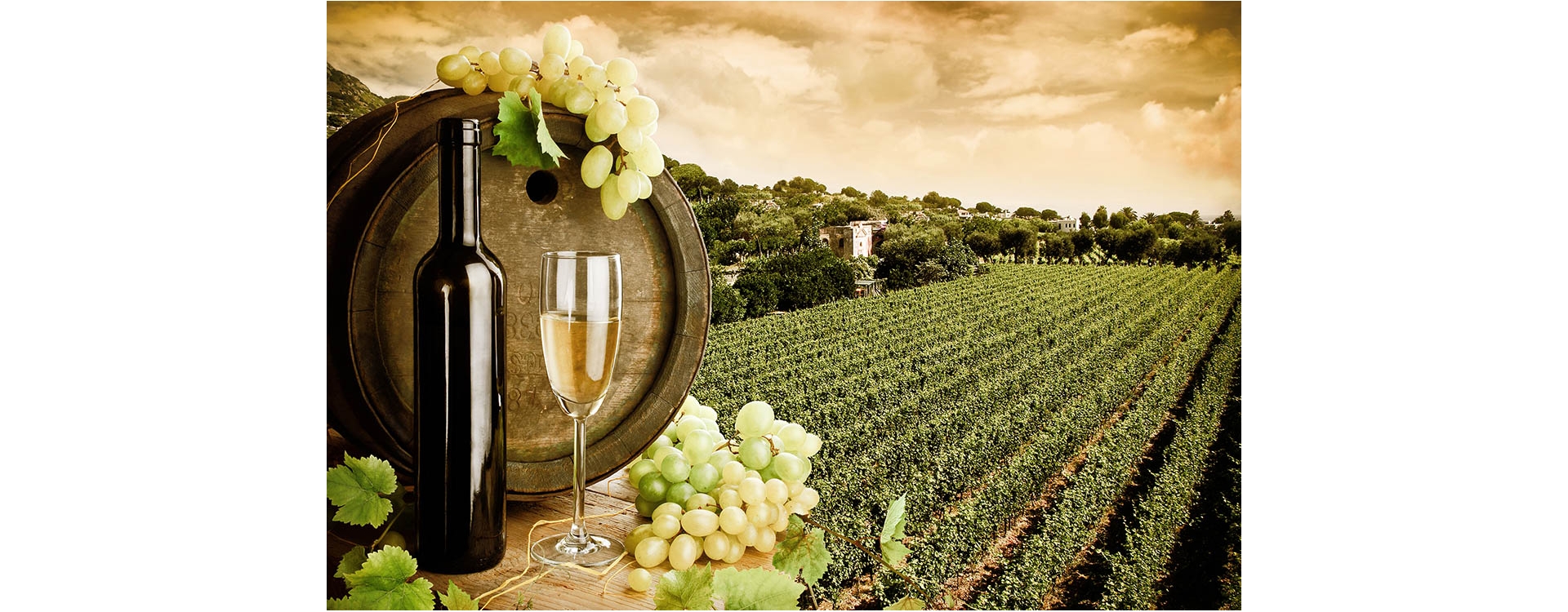 Turismo enogastronomico, successo strepitoso in Italia!