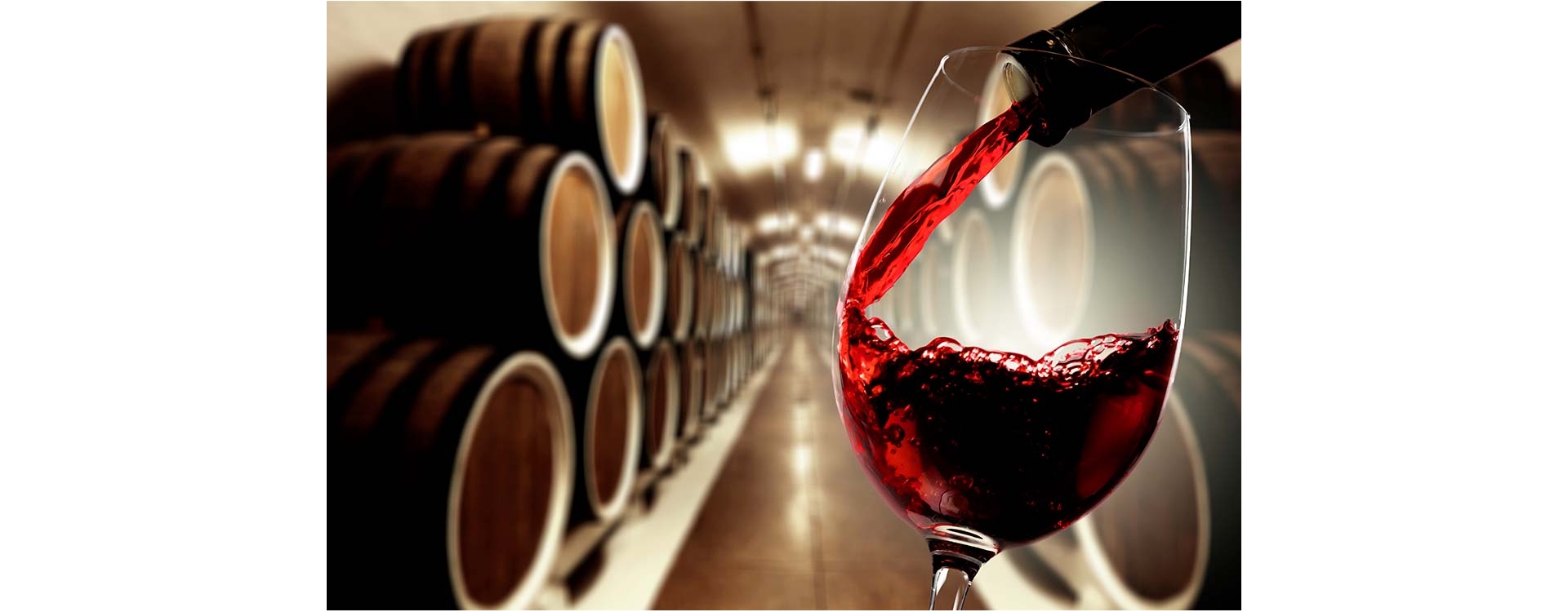 In vino veritas tra tradizione e nuove tecniche biodinamiche 