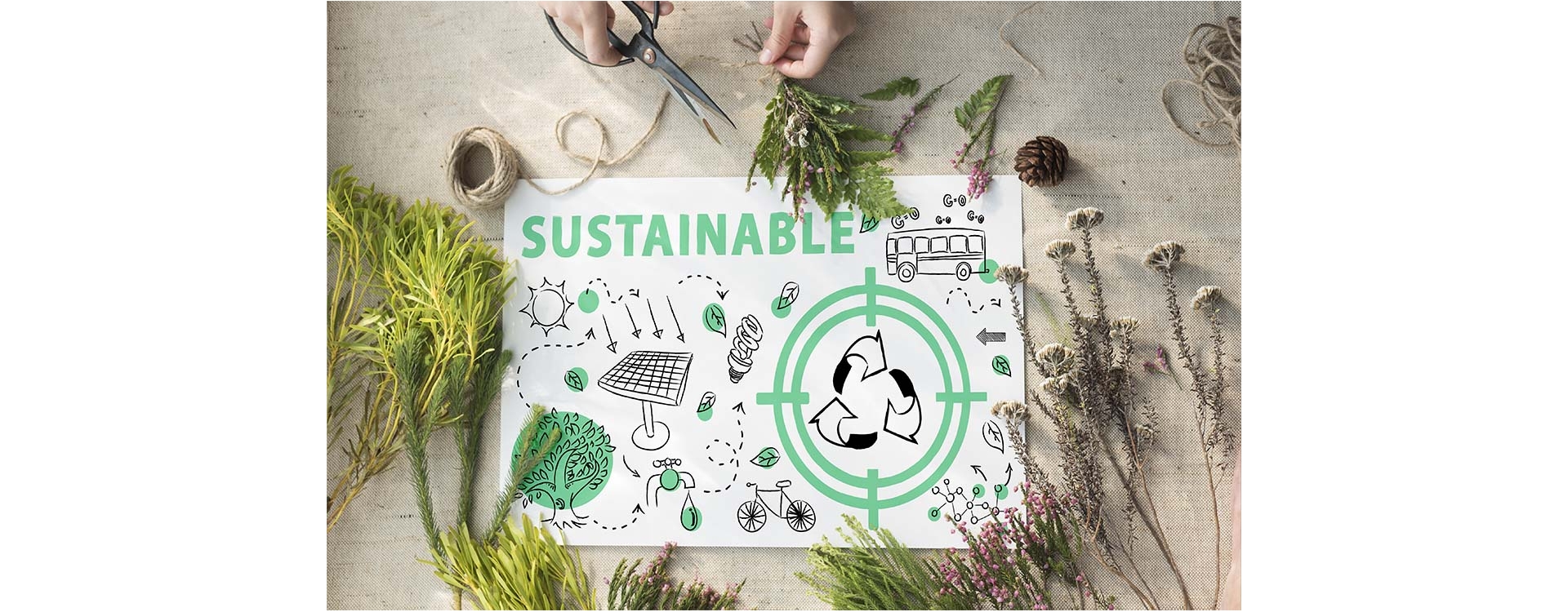Vivere sostenibile: piccoli gesti quotidiani per uno stile di vita più green e responsabile